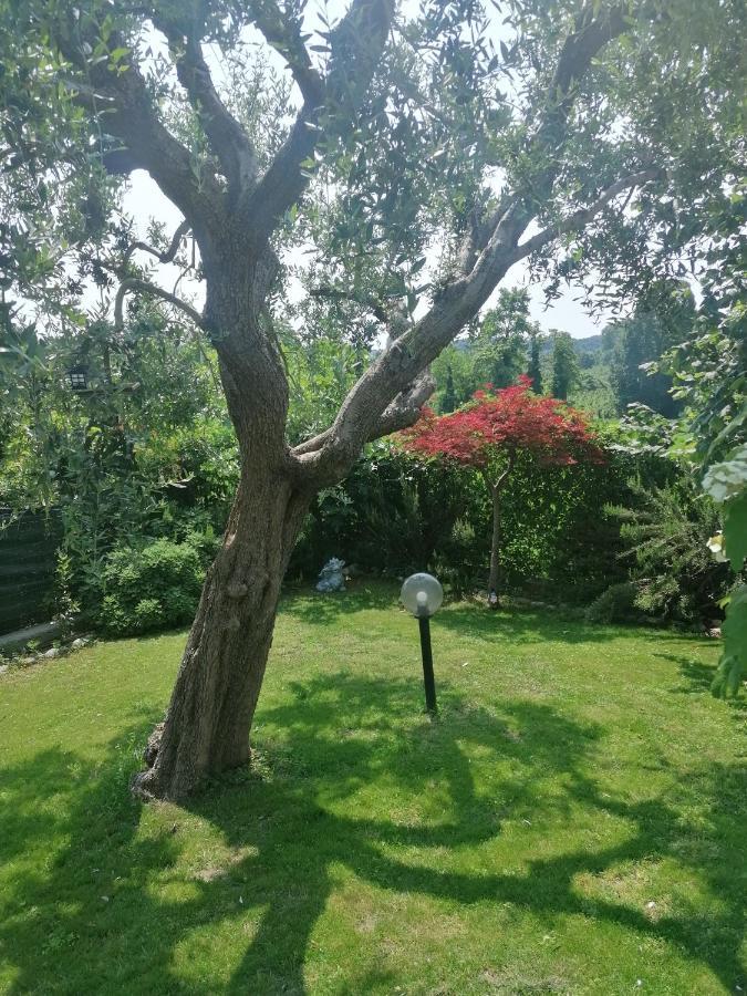 Casa Laghetto Villa Castellaro  Ngoại thất bức ảnh